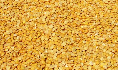 Plan to increase govt procurement of arhar dal to 10 LT; NAFED, NCCF to buy