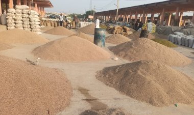 Cumin price hits record, At Rs 50k a quintal