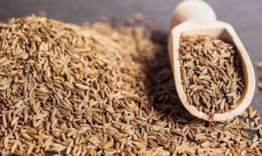 How Cumin (jeera) turns 'diamond' (heera) for farmers, Read full story
