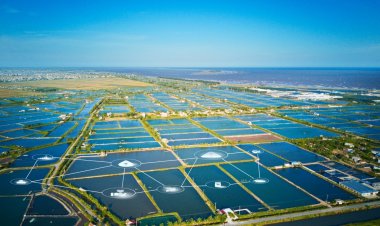 Breaking the Barrier – Unlocking the Next Blue Revolution