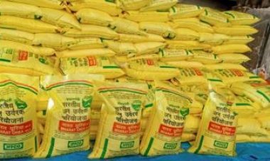 Price of DAP falls to $ 553, Urea to $ 315 in global market