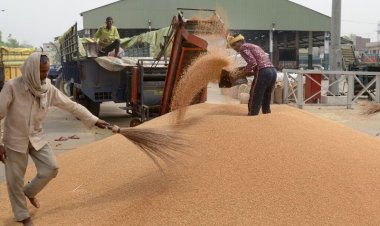 Ban on wheat export to stay, said govt