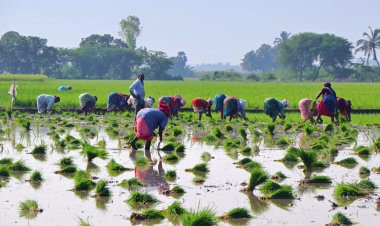 Financial resources effective in increasing agri output by 24pc, reducing climate risk by 16pc