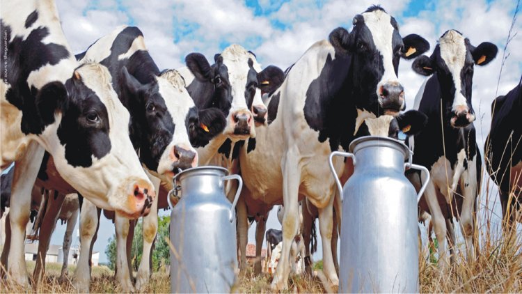 India’s Dairy Sector Remains Steady Despite West Asia Crisis, Says Government