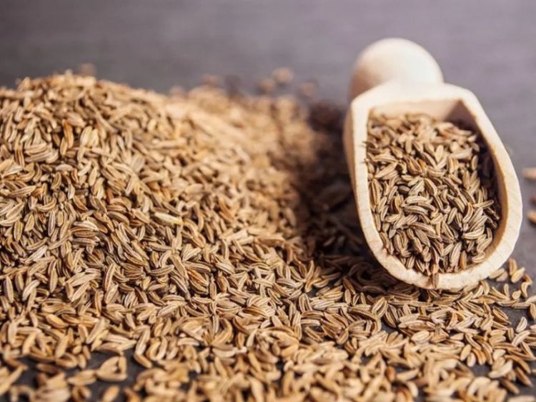 Cumin price hits new high at Rs.59,000, turns into gold for farmers