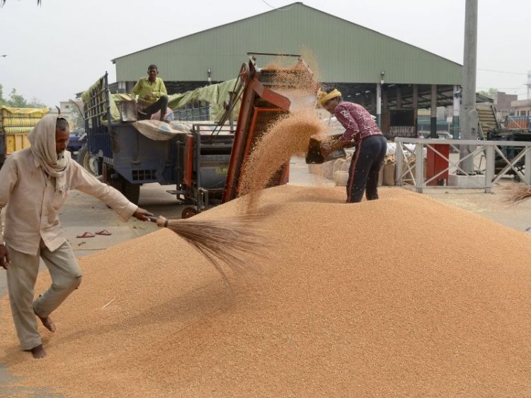 Ban on wheat export to stay, said govt