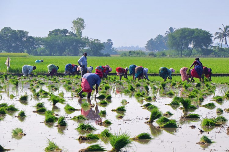 Financial resources effective in increasing agri output by 24pc, reducing climate risk by 16pc