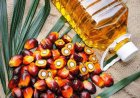 Iran War Drives Surge in Palm Oil Exports, Raises Global Supply Concerns