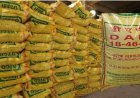 Global DAP Prices Touch $730 Per Tonne, Raising Kharif Supply Concerns in India