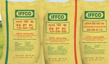Govt nod to Rs 22,303cr subsidy on P&K fertilisers for rabi season 2023-24