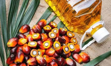 Iran War Drives Surge in Palm Oil Exports, Raises Global Supply Concerns
