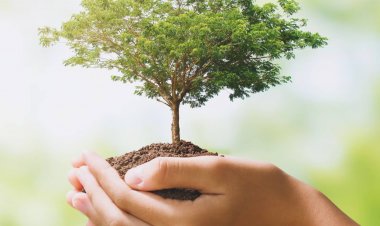 DeHaat partners with GBI, Aussan Labs to bring bio-input formulations to Indian farmers