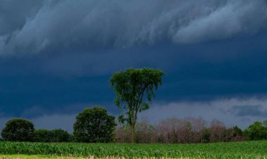 NCDEX ties up with Skymet Weather Services to enhance understanding of weather impact on agri commodities