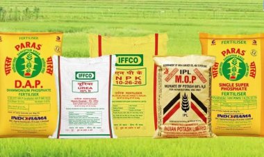 DAP import price reaches at $620, lower imports may lead to shortage in Rabi season