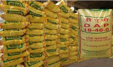 DAP subsidy cut by Rs 15,792 a ton; low global prices to save govt bill