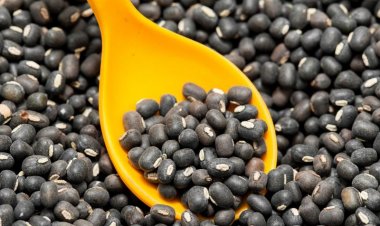 India may import urad from Brazil