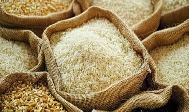Cut down non-basmati rice price immediately: Govt to rice industry
