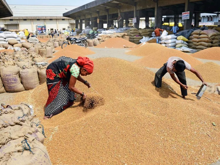 Wheat procurement pace slows down, creeps to 261 lakh tonnes