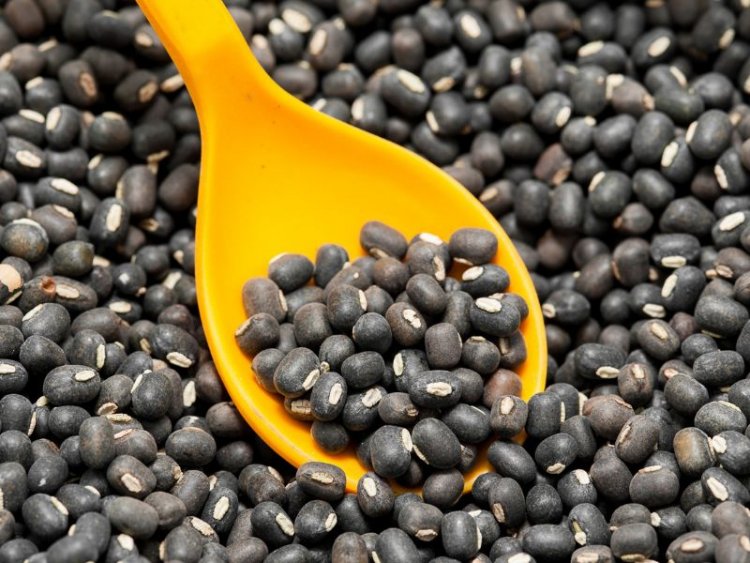 India may import urad from Brazil