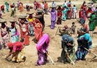 Agricultural Workers’ Union Rejects VB-GRAM(G) Notification, Says It Will Weaken Rural Employment Guarantee