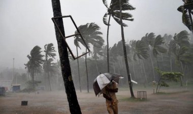 'Vigorous' monsoon activity may bode well for India's agricultural landscape