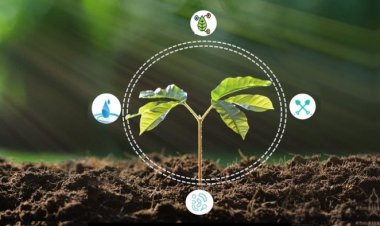 Beyond Myths: Building Sustainable Farming in India