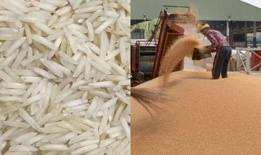 FCI sells 1.89 lakh tonne wheat, 5,000 tonne rice in 15th weekly e-auction under open market sale scheme