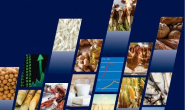 Global food output set for expansion: FAO