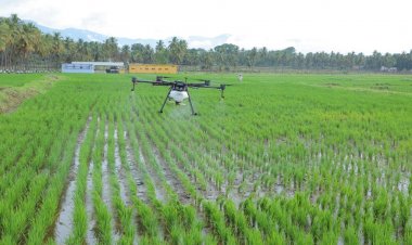 Corteva Agriscience brings new herbicide to check weeds in paddy fields