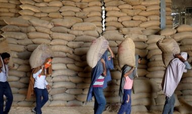 Wheat stock limit tightened for wholesalers, big chain retailers, processors