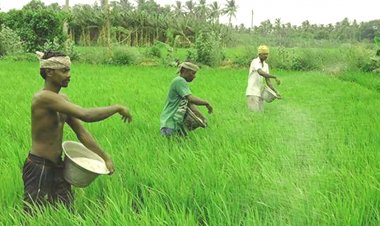 Nearly 75 pc farmers buy agri-inputs from affiliated FPOs: Dvara E-Registry survey