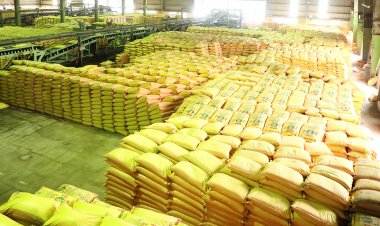 Cabinet approves ₹3.68 trillion for Urea subsidy schemes for 3 years