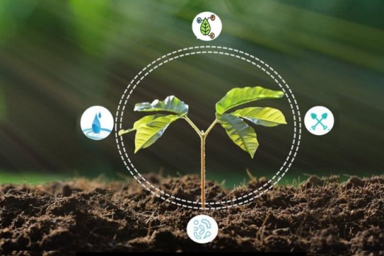 Beyond Myths: Building Sustainable Farming in India - Rural Voice is a ...