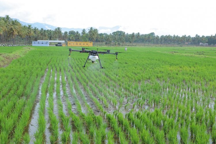 Corteva Agriscience Brings New Herbicide To Check Weeds In Paddy Fields corteva-agriscience-brings-new-herbicide-to-check-weeds-in-paddy-fields