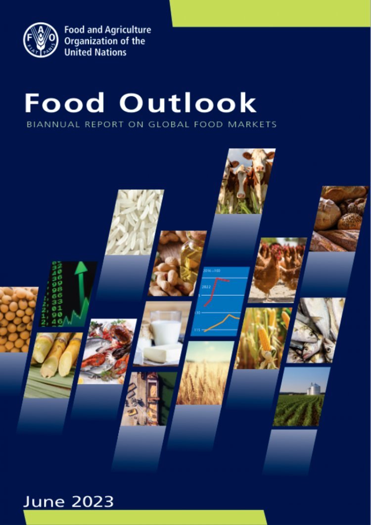 Global food output set for expansion: FAO