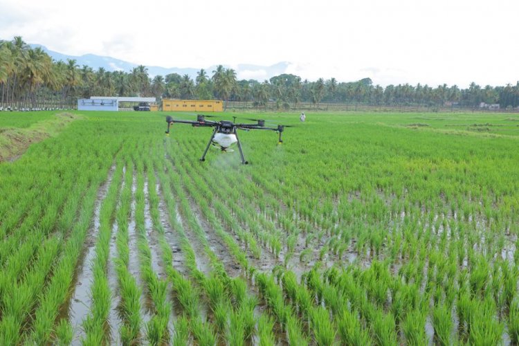 Govt to provide agri-drones to 15,000 women SHGs: PM in I-Day speech