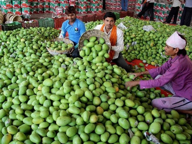 WB mango growers seek govt support
