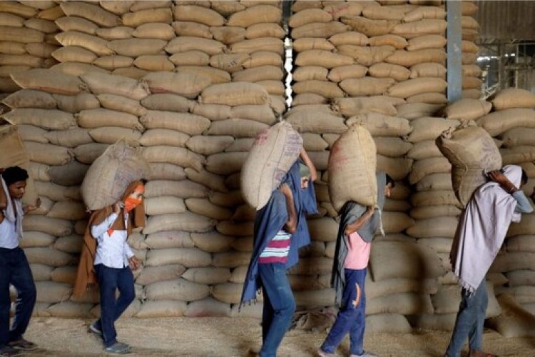 Govt further cuts stock limit on wheat amid uptick in prices