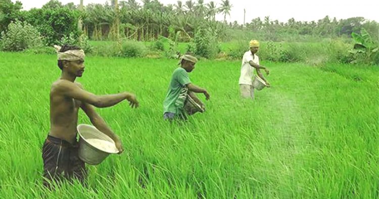 Nearly 75 pc farmers buy agri-inputs from affiliated FPOs: Dvara E-Registry survey