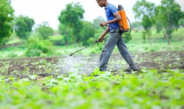 Aided by high demand, agrochemicals sector cruises through headwinds