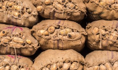 India permits potato import from Bhutan