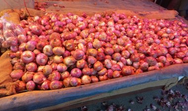 Centre releases stocks from onion buffer of 3 lakh metric tonne