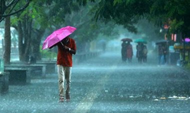 Unprecedented intense rain hits crops