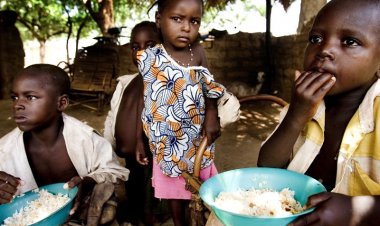 12.2 cr more people pushed into hunger since 2019 due to multiple crises: UN report