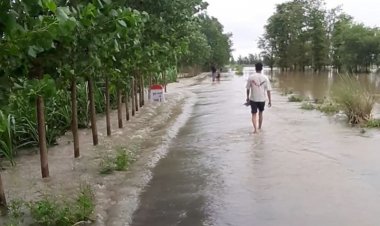 Heavy damage to crops due to floods in Punjab, Haryana, UP