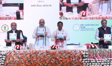 Agri, allied sector contribution to GDP can further rise by strengthening marketing; FPOs are key: Shah