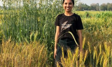 London educated agri-entrepreneur grows wheat variety popular in bakery industry