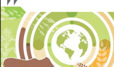 Global farm output to grow by 1.1pc yearly: OECD-FAO Agricultural Outlook 2023-32