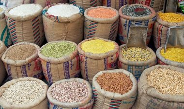 Int'l quotations for rice, wheat, palm oil, pig meat drop: FAO