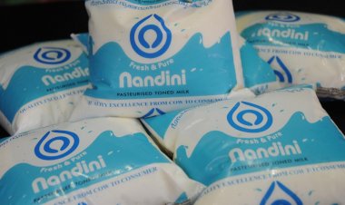 Nandini milk price hiked by Rs 3/lit: K'taka Govt says it is to help dairy farmers